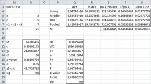 Box's test Excel