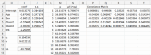Coefficient covariance matrix